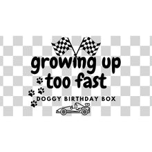 Load image into Gallery viewer, Growing Up Too Fast: Themed Birthday Box Collection