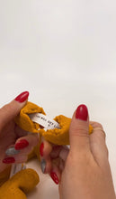 Load image into Gallery viewer, Doggy Fortune Cookies- packs of 2