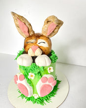 Load image into Gallery viewer, Mini Human Cake