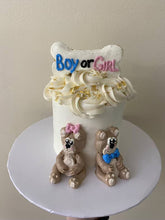 Load image into Gallery viewer, Doggy Gender Reveal Cake
