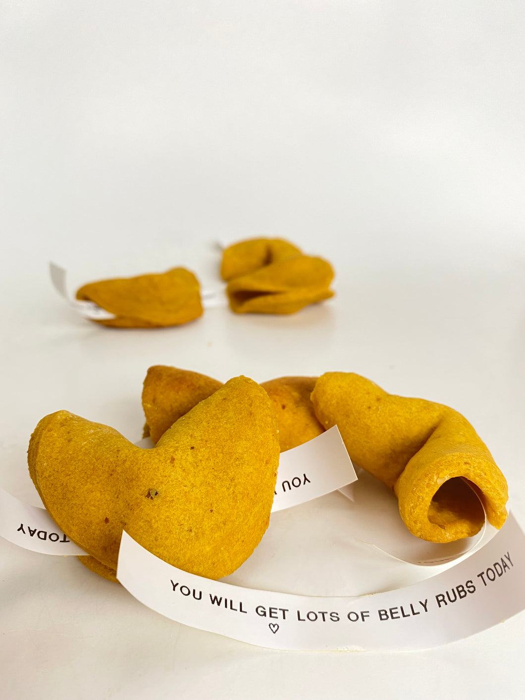 Doggy Fortune Cookies- packs of 2